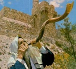 http://i76.photobucket.com/albums/j14/glambarbarian/Sonneurdetrompette.jpg