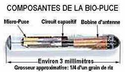 micropucecomposantes.jpg (21363 octets)